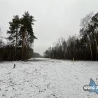 zdjęcie nr 20