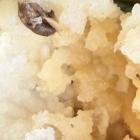 Zatrute mięso. Zdjęcie nadesłane przez panią Aleksandrę