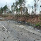 zdjęcie nr 11