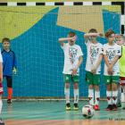 zdjęcie nr 11