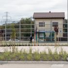 zdjęcie nr 12