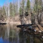 Park Gródek w Jaworznie, czyli 