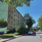zdjęcie nr 11