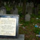 aworznicki kirkut skrywa historie dawnych mieszkańców miasta. Fot. Patrycja Koprzak