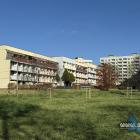 Nowe drzewa na skwerze przy Towarowej