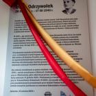 zdjęcie nr 36