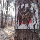 Stan oznakowań szlaków rowerowych w Jaworznie. Fot. Patrycja Koprzak