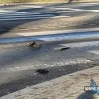 Zderzenie ciężarówki z dostawczakiem