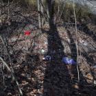 Śmieci w pobliżu velostrady. Fot. Patrycja Koprzak