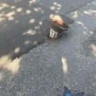 Dziura ul. Krasickiego. Fot. Od czytelnika