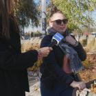 Podwyżka za wywóz śmieci stała się faktem. Sonda uliczna w Jaworznie