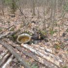 Źródło Siarczanej