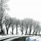 zdjęcie nr 118