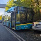 zdjęcie nr 225