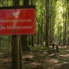 Las Murckowski