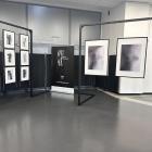 Wystawa fotografii Agnieszki Pstraś-Gaudyn w Galerii Podcienie 