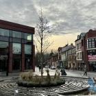 Ambrowiec amerykański na rynku w Jaworznie