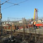 zdjęcie nr 8