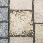 IMG-4727