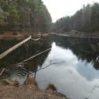 Żabnik, zachodni staw