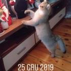 zdjęcie nr 37