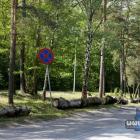 zdjęcie nr 33