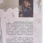 zdjęcie nr 14