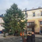 1-rynek choinka (3)