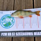 Towarzyskie Zawody Spiningowe na Zalewie Sosina. Fot. Koło PZW nr. 57 Szczakowa Miasto...