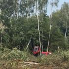 Wycinka drzew przy ul. Wojska Polskiego w Jaworznie