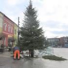 chonika rynek2