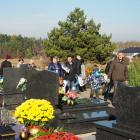 zdjęcie nr 9