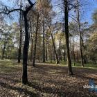 zdjęcie nr 43