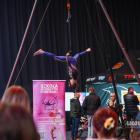 Arena Sky Aerial School 
