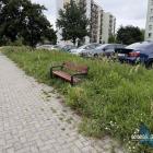Zarośnięta ławeczka na Podłężu
