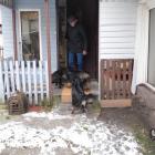 Pan Zdzisław  z psami