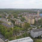 zdjęcie nr 22