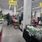 zdjęcie nr 33