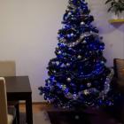zdjęcie nr 34