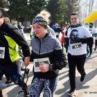 zdjęcie nr 17