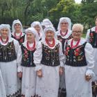 zdjęcie nr 61
