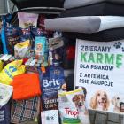Zbiórka dla Artemidy - psie adopcje, 28 grudnia  