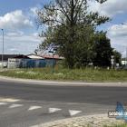 zdjęcie nr 8