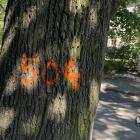 zdjęcie nr 9