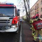 zdjęcie nr 8