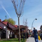 20190425_105549-min
