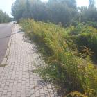 malczewskiego (2)