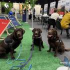 Regionalny Klub Pacjenta w Jaworznie