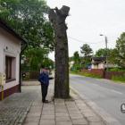 zdjęcie nr 16