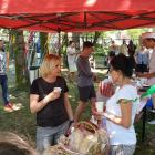 piknik zsp 4 (2)
